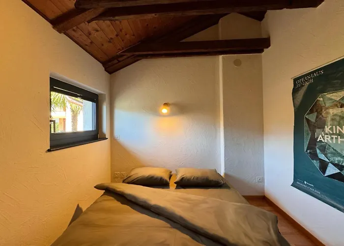 Cozy In The Apartment